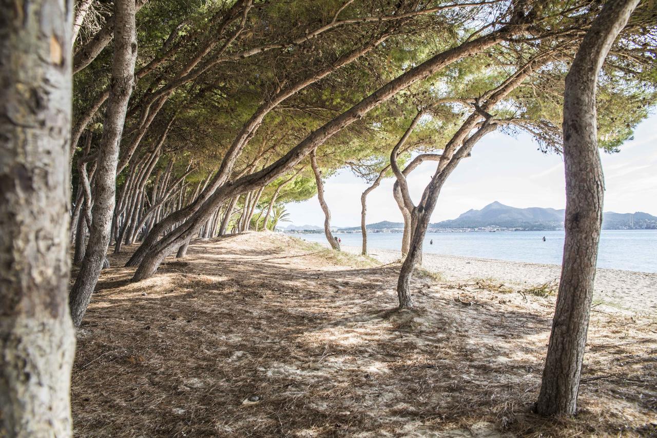 Beach Inn Port de Alcudia  Exterior foto